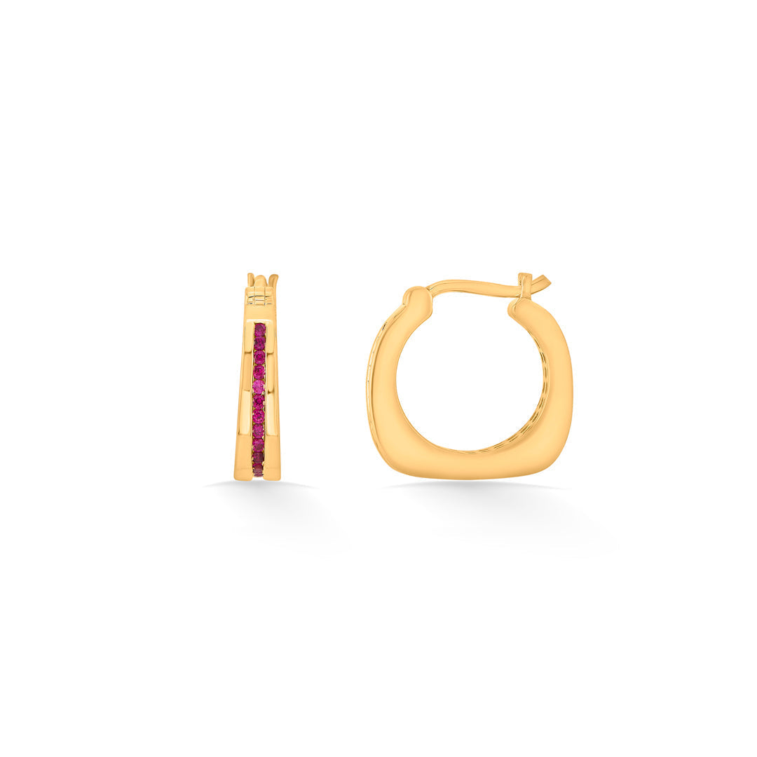 Coral Shine Gold Hoops & Huggies Earrings for Women