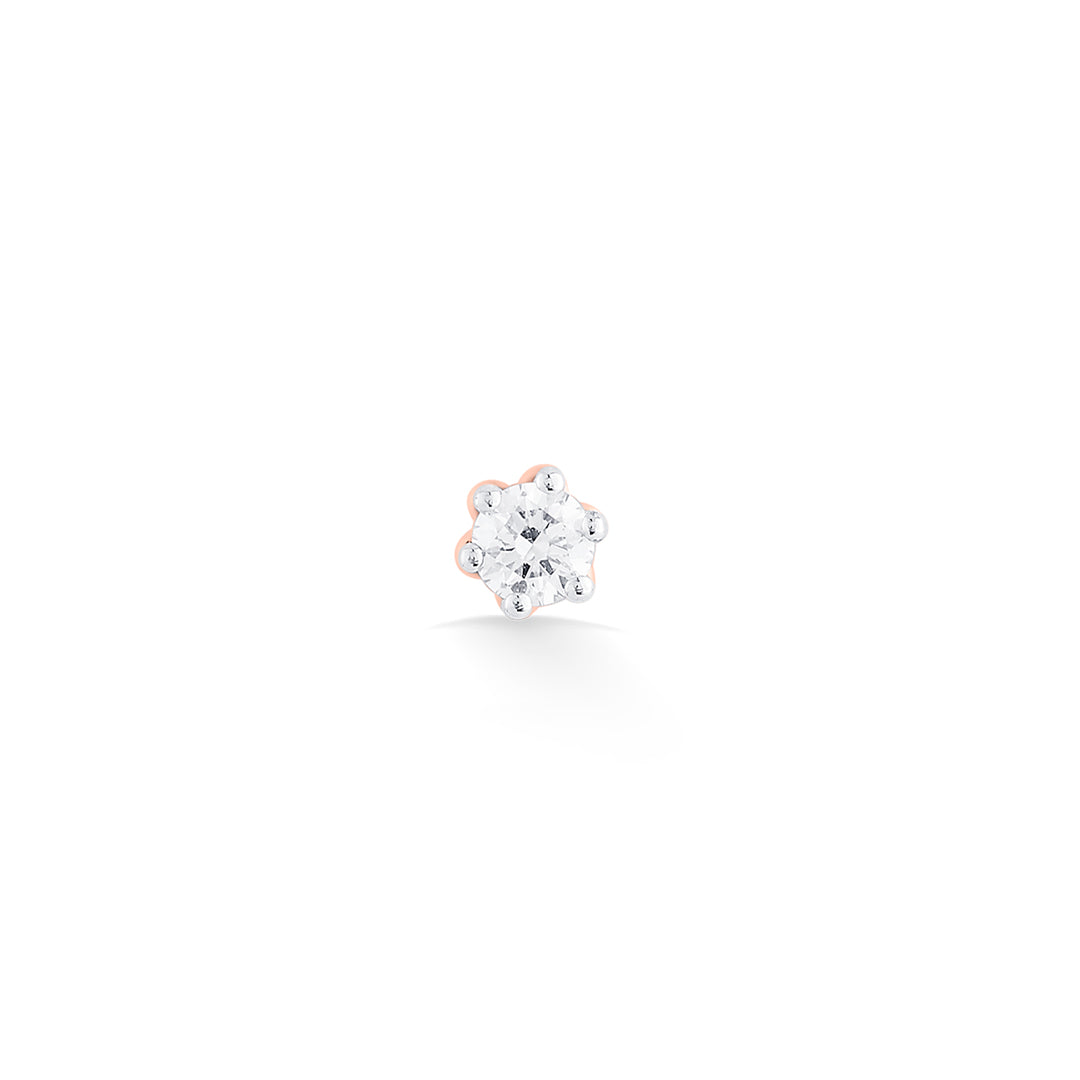 Daisy Bloom Diamond & Gold Nosepin Screw for Women
