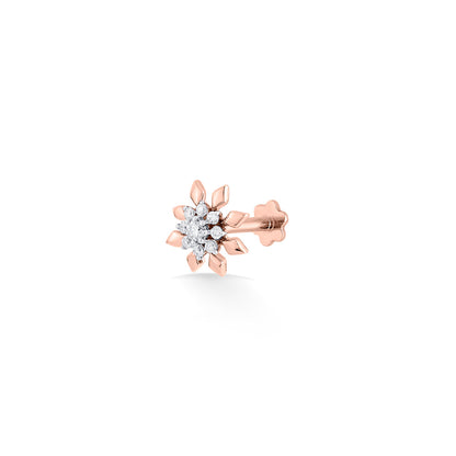 Star Spark Diamond & Gold Nosepin Screw for Women