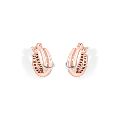 Nexa Ray Gold Hoops & Huggies Earrings for Women