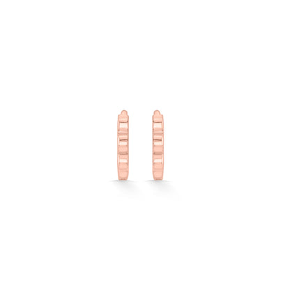 Rosy Flash Gold Hoops & Huggies Earrings for Women