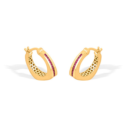 Coral Shine Gold Hoops & Huggies Earrings for Women