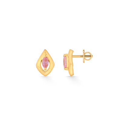 Crystal Frame Gold Stud Earrings for Women