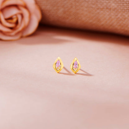 Crystal Frame Gold Stud Earrings for Women