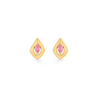 Crystal Frame Gold Stud Earrings for Women