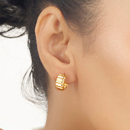 Crown Ridge Gold Hoops & Huggies Earrings for Women
